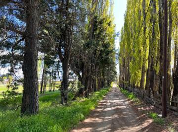 Terreno · 160m² · 5 Ambientes · 1 Cochera · Excelente Fracción con Vivienda en Dina Huapi