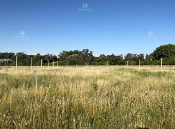 Terreno · 1600m² · Terreno Lote en Venta Ubicado en Loma Verde, Escobar, G. B. a. Zona Norte