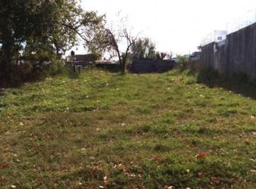 Terreno · 587m² · Amplio Terreno con Todos Los Servicios.