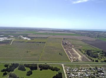 Campo · 630000m² · Mar del Plata - 63 Ha
