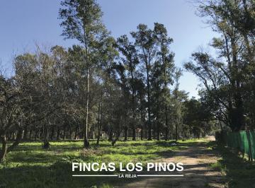 Terreno · 728m² · Venta Lote 728 m² - Ultima Parcela en Fincas Los Pinos (La Reja Sur)