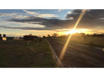 Terreno · 250m² · Terreno en Capitán Bermúdez - Terranova - Manzana P - Lote 21
