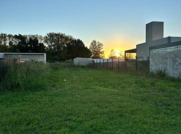 Terreno · 423m² · Venta Lote Ibarlucea - Las Fincas - Terreno Lote P10