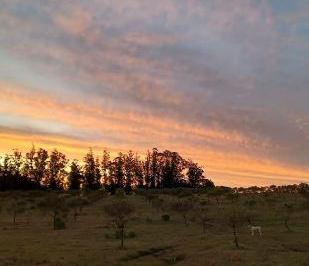 Campo · 1100000m² · Campo en Paraje José Ignacio