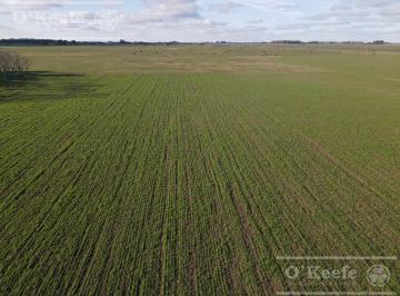 Campo · 2090000m² · Campo de 209 Has en La Plata. Posibilidad de Financiacion!