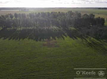 Campo · 2090000m² · Fracción de Campo de 209 Has en Venta - La Plata