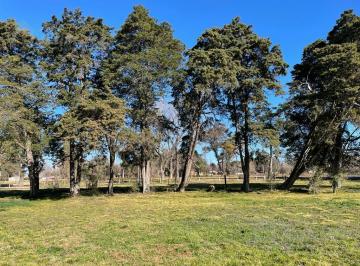 Terreno · 894m² · Lote Terreno en Venta 894 m² Parques del Morenito Moreno Norte