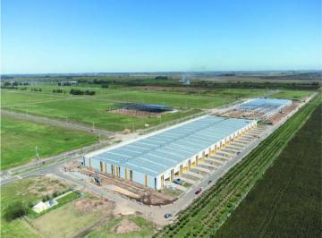Depósito · 500m² · Galpones Llave en Mano - a Estrenar - Financiados