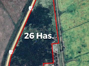 Campo , Fortín Inca · En Venta - 26 Ha Santiago del Estero