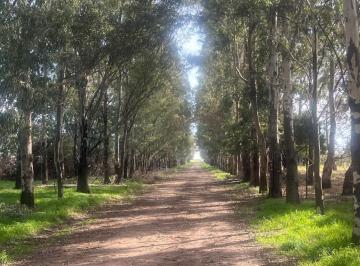 Campo · 3830000m² · Campo en Venta en San Cayetano, Provincia de Buenos Aires