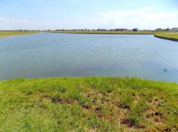 Terreno · 1032m² · Terreno Al Lago en Venta en Nordelta, Virazon