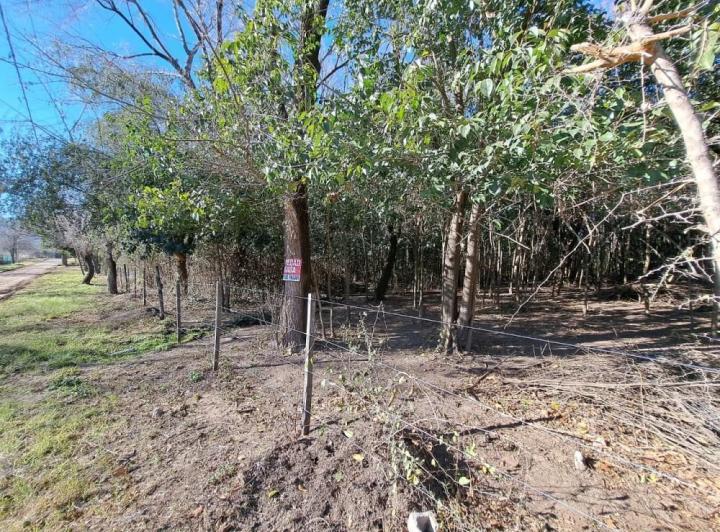 Terreno