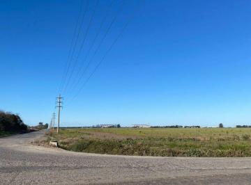 Campo · 251000m² · Campo 25 Hectáreas Agrícolas/industrial en Timbúes