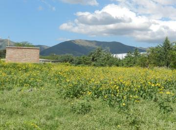 Campo · 308000m² · Campo 31 Has en El Carrizal, Punilla, Sierras de Córdoba. Apto Todo Destino!