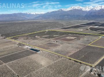 Campo · 1100000m² · Finca Lindera a Clos de Los Siete