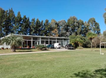 Campo · 500m² · Chacra - Riachuelo