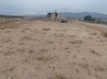 Terreno , Luján de Cuyo · Lote en Venta - Luján de Cuyo