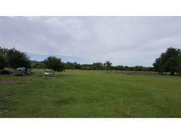 Terreno · 10000m² · 3 Lotes de 10000 m² con Magnífica Ubicación! Calle Pública a m de Bv. Pueyrredón y Nueva Termin