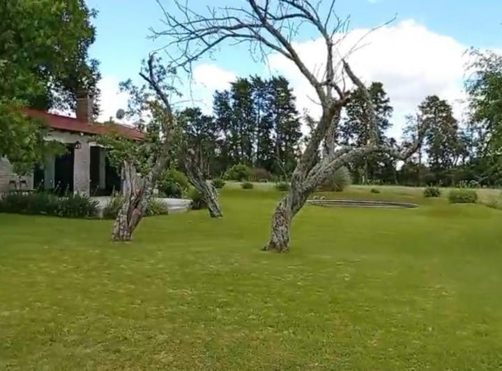 Campo · 180m² · 4 Ambientes