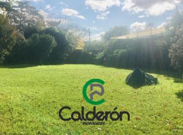 Terreno · 974m² · Terreno Lote en Venta Moreno Centro (Inversión)