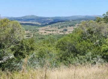 Campo · 70000m² · Chacra en Pueblo Eden 7 Hectáreas. Ruta 12