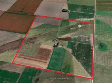 Campo · 147m² · Campo en Cicarelli - Mixto - 3 Rutas Cercanas
