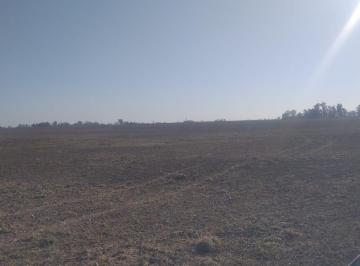 Campo · 33m² · Campo en Serodino