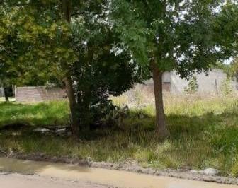 Imagen1 · Terreno en Venta en Zona Residencial
