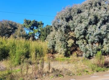 Terreno · 726m² · Lote en Venta - Zona Iglesia - Excelente Ubicación - Proximo Al Mar