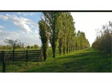 Terreno · 1035m² · Haras de Funes. Lote 9 - m VI
