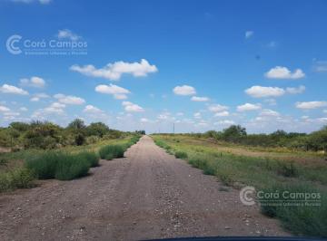 Acceso · Se Vende Campo Ganadero en Mendoza, Rio Diamante. San Rafael.