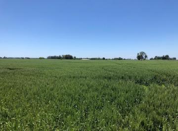 PMI-PMI-1718_2 · 96 Ha a m de Ruta 7
