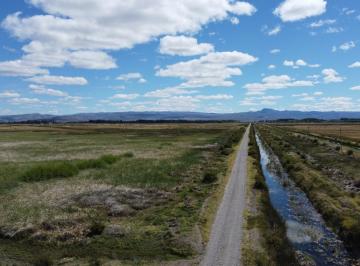 Campo · 900000m² · Chacra - Sarmiento