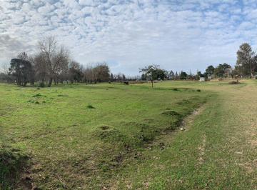 Campo , Zárate · Lote Divisible de 57.000 m², Zarate, Ruta 6