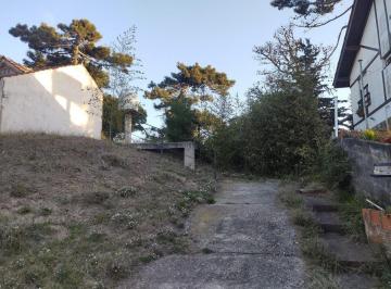 SRD-SRD-498_2 · Lote. | Paseo 117 Al 300