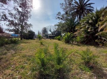 Terreno , Saladillo · Lote Esquina Amplio y Sobre Av Para Desarrollo Inmobiliario