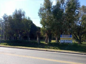 Terreno , Cañuelas · Excelente Ubicación de Hectáreas en Vicente Casares