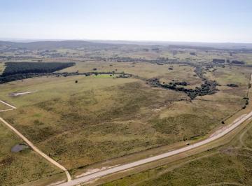 Campo · Chacra de 25 Has en Garzon