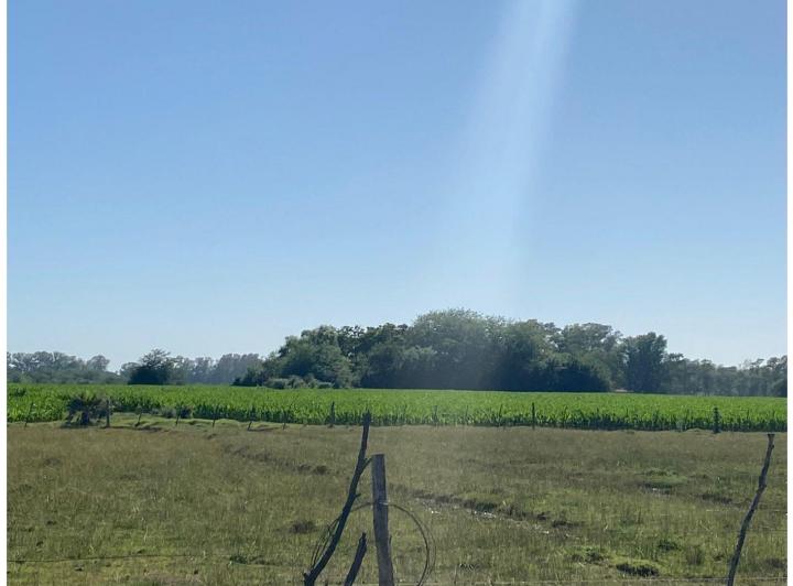 Campo · 11600m² · 1 Ambiente