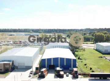 Bodega-Galpón , General Rodríguez · Galpon Industrial General Rodríguez en Venta