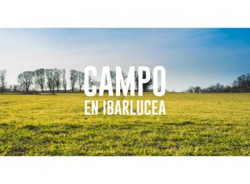 Campo · 85000m² · Campo 8,5hs en Ibarlucea