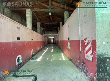 Campo · 3300m² · Bodega Chica en San Martín