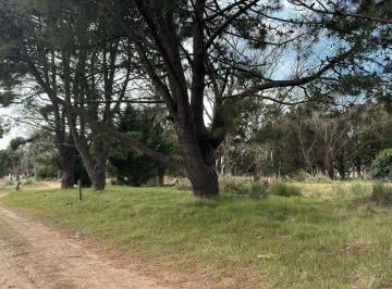 Terreno , Las Toninas · Lote Ruta 11 Toninas 5500 m²