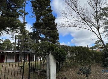 DEI-DEI-896_2 · Lote. | del Lenguado