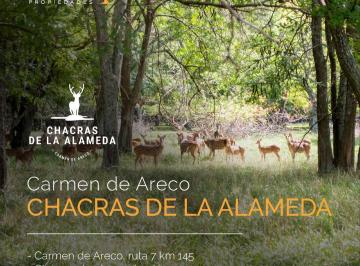 Terreno · 12442m² · Terreno en Venta en Carmen de Areco - Chacras de La Alameda