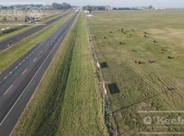 Campo · 1060000m² · Campo en Venta 106 Has Brandsen. Apto Desarrollo