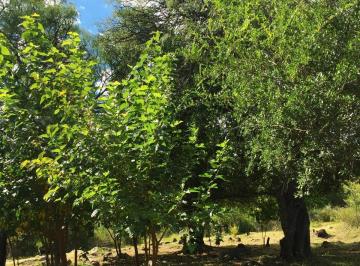 Terreno , San Javier · Terrenos en Venta en La Travesía Luyaba