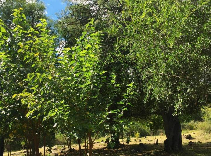 Terreno · 4999m²