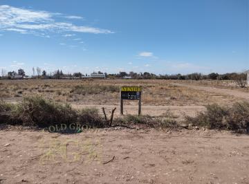 Terreno , San Rafael · Gold Group Vende Fantástico Terreno / Calle Zamarbide y Las Vírgenes