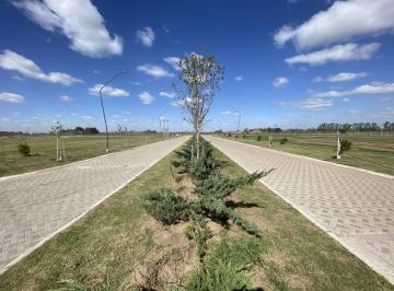 Terreno · 340m² · Terreno 340 m² - Pueblo Esther - Distrito Cero